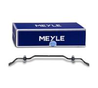 Meyle Bielle de stabilisateur 100 653 0017 Essieu arrière pour VW SEAT SKODA