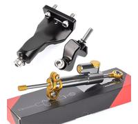 Stabilisateur Amortisseur de Direction Support de montage pour amortisseur de direction avant de moto, stabilisateur, compatible avec Yamaha R25 R3 2021-2024(Gray Gold)