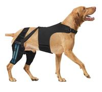 Stabilisateur de dos et de jambe pour animaux de compagnie pour mobilité et répartition équilibrée du poids, genouillère pour soulager les articulations, la dysplasie des hanches, renforcer les chiens