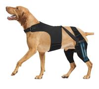 Stabilisateur de dos et de jambe pour animaux de compagnie pour mobilité et répartition équilibrée du poids, genouillère pour soulager les articulations, la dysplasie des hanches, renforcer les chiens