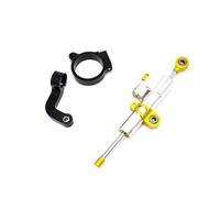 Stabilisateur Direction Universel pour BMW pour R1200GS LC R 1200 GS 2013-2017 Kit De Support D'amortisseur Direction Moto en Alliage D'aluminium Anti-Vibrations(Silver and Gold)