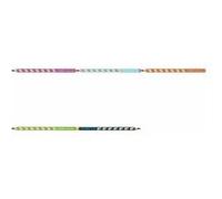 STABILO Crayon d'apprentissage EASYgraph, orange