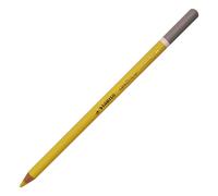 Stabilo Lot De 6 Crayons De Couleur Fusain Pastel Carbothello Jaune De Naples