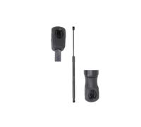 Stabilus Ressort à gaz pour coffre NISSAN LEAF ZE1/ZE1E/ZE1U 2017- Amortisseur de hayon LIFT-O-MAT® avec 520 N 90450 5SA1A/90450 5SH0A/90450 5SH0B/90451 5SA1A/90451 5SH0A/90451 5SH0B