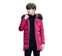 Staccatory Filtre HEPA et pré-filtre pour aspirateurs A10/A11 A10/A11 Master et S11/S12