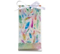 Städter 337435 Rainbow Feathers Sac cadeau en papier