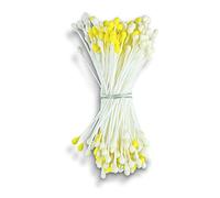 Staedter poussière, Fleurs, Jaune, 5 cm