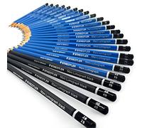 Staedtler Mars Lumograph, Crayons à dessin de très haute qualité, Boîte en métal avec 20 crayons assortis 9B-9H et 4 crayons enrichis en carbone 8B/6B/4B/2B, 100 G24 S