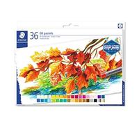 Staedtler Pastels à l'huile de qualité professionnelle, Couleurs profondes et résistantes à l'eau, Étui carton avec 36 couleurs assorties, 2420 C36