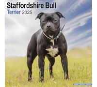Staffordshire Bull Terrier Calendar 2025 Square Dog Breed Wall Calendar - 16 Month