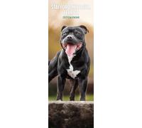 Staffordshire Bull Terrier Calendrier fin 2027