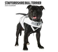 Staffordshire Bull Terrier Calendrier moderne 2024