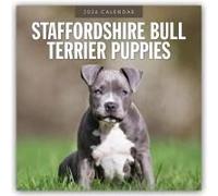 Staffordshire Bull Terrier Puppies 2026 Square Wall Calendar