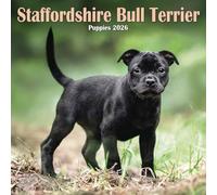 Staffordshire Bull Terrier Puppies Mini calendrier 2026