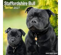 Staffordshire Bull Terrier Wall