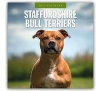 Staffordshire Bull Terriers 2025 Square Wall Calendar
