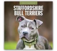 Staffordshire Bull Terriers 2026 Square Wall Calendar