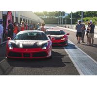 Stage Pilotage Duo GT - Anneau du Rhin