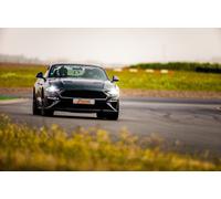 Stage Pilotage Ford Mustang Bullitt - Dijon-Prenois