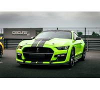 Stage pilotage Mustang Shelby GT500 - Circuit du Var
