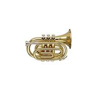 Stagg WS-TR245S - Trompette de poche en Sib, perce ML, corps en laiton