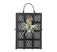 Staghorn Fern Board - Cerium Vertical Planting | Plate Mounting with Strong Construction | Frame Board For Wall Greening and Sustainable Decoration In Living Spaces