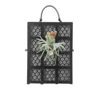 Staghorn Fern Board - Staghorn Fern Planting Board Wall Holder | Climbing Plants Holder Garden Home Decor | Iron Material Black 22x16cm Or 27x21cm Or 37x27cm - for Living Room Balcony Offices Bed