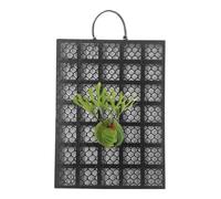 Staghorn Fern Board, Vertical Plant Wall Planter Frame Board, Platycerium Orchids Mount, for Garden, Indoor, Outdoor, Office, Dorm, Bedroom, Balcony