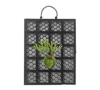 Staghorn Fern Mount - Affichage de fougère décoratif | Flammes de jardinière à rustiques | Orchidées platycerium Montano | Porte de Unique pour Jardin, intérieur, extérieur, Bureaux, dor