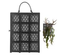 Staghorn Fern Mount - Affichage de fougère décoratif | Flammes de jardinière à rustiques | Orchidées platycerium Montano | Porte de Unique pour Jardin, intérieur, extérieur, Bureaux, dor