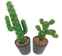 STAHAD Plantes Succulentes Artificielles Lot de 2, Cactus en Pot Plastique, Décoration Intérieure Bureau Salon, Compact sans Entretien, Rendu Réaliste