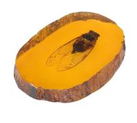 STAHAD Spécimen D'insecte en Résine Orange, Cigale Artificielle pour Collection et Décoration, Ornement Unique et Esthétique en Ambre