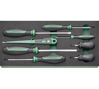 Stahlwille TCS 4620/4640/4734/10554/8 Jeu de tournevis