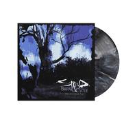 STAIND LP Break The Cycle 25Th (2026) Vinyle Marbre 33 Tours Précommande