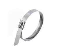 Stainless steel cable ties Attaches de câble en acier inoxydable, 60/20 pièces, sangle métallique autobloquante, fixation polyvalente à domicile(4.6x300mm,20PCS)