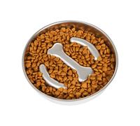 Stainless Steel Dog Slow Feeder Bowl, Slow Feed Bowl, Anti Tip Dog Food Bowl, Slow Eating Pet Bowl Stainless Steel, Non Slip Dog Feeder for Fast Eaters, 8.66x8.66x1.57 inches