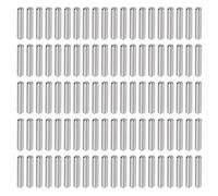Stainless Steel Dowel Pins 100pcs | 304 Stainless Steel Shelf Support Pins for Machinery / Furniture / DIY Projects | - 0.02mm Tolerance, Protected Against Environmental Factors