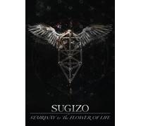 Stairway to the Flower of Life [Import allemand]