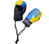 Stakee 1 Paire de Mini Gants de Boxe ukrainiens Modèle de Gants de Boxe Miniatures Accessoires de Boxe Pendentif Porte-clés pour Hommes Femmes