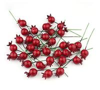 Stakee 25pcs Modèle De Grenade Rouge Mini-Grenade Mini Fruits Ornements Simulation Fruit Bouquet pour Décoration Intérieure