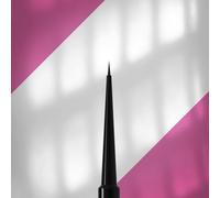 STALEKS PRO Expert NBE-02 NBE-02 Lot de pinceaux à ongles professionnels avec manche en plastique Noir