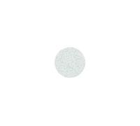 Staleks Recharge Limes Adhésives PODODISC Taille L - Grain 100 - Lot de 50