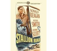 Stallion Road