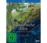 Stamets,Paul - Fantastische Pilze - Die magische Welt zu unseren Füßen
