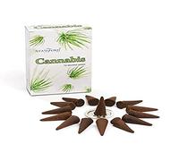 Stamford Cônes d'encens Cannabis