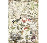 Stamperia DFSA4459 Papier de Riz emballé A4-Fleures et Fruits, Multicolore, 21x29,7 cm