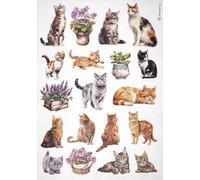 Stamperia Papier de riz A4 - Collection chat et plantes