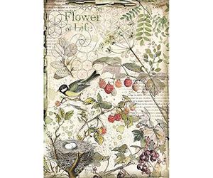 Stamperia Papier de riz emballé A4 - Fleures et fruits, Multicolore, 21 x 29,7 cm DFSA4459
