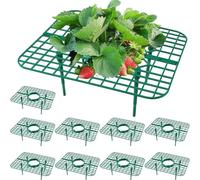 Stand à la fraise - Support de l'usine, support de croissance | Rack de filet surélevé de 10 packs pour les fruits, protège des moisissures de terre, des dommages causés par la pourriture, le