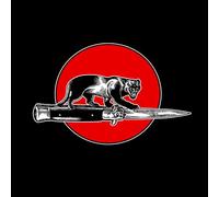 Paul Collins - Stand Back And Take A Good Look [Compact Discs]